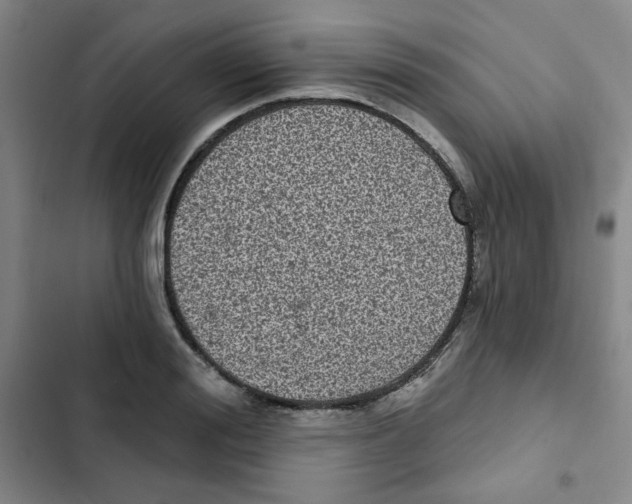 X0000102800988200809150925