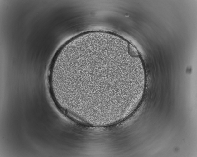 X0000102800991200809150925