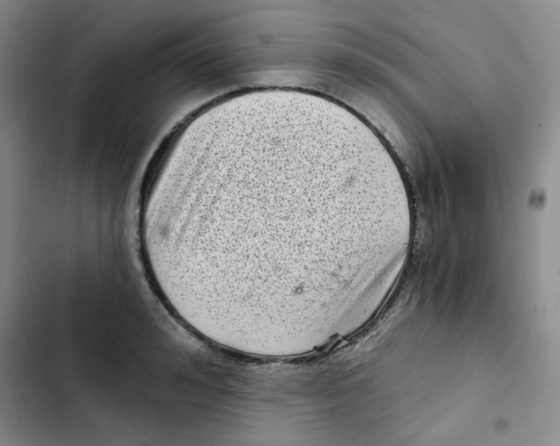 X0000102800992200809150925