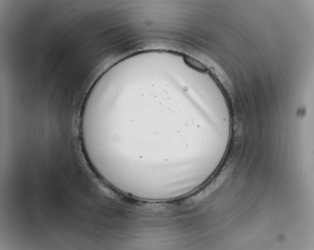 X0000102800993200809150924