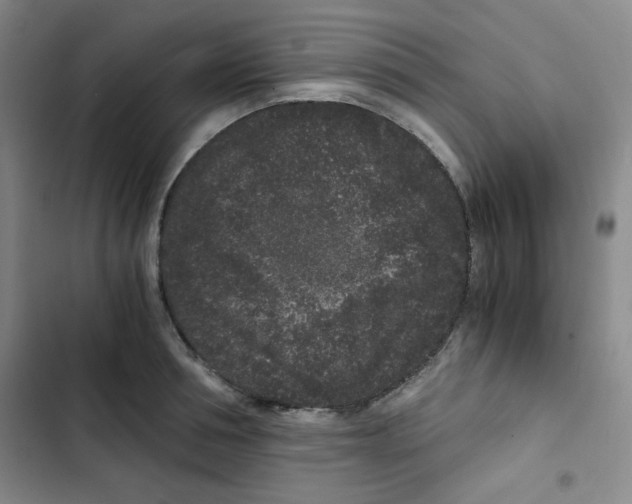 X0000102800994200809150924