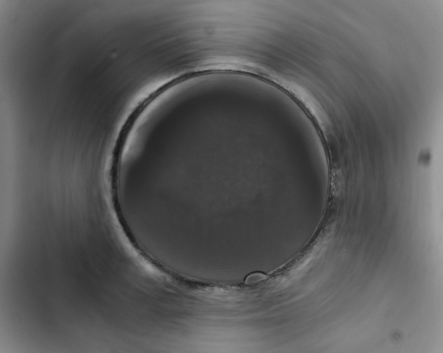 X0000102800995200809150924