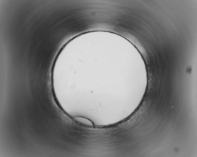 X0000102800996200809150924