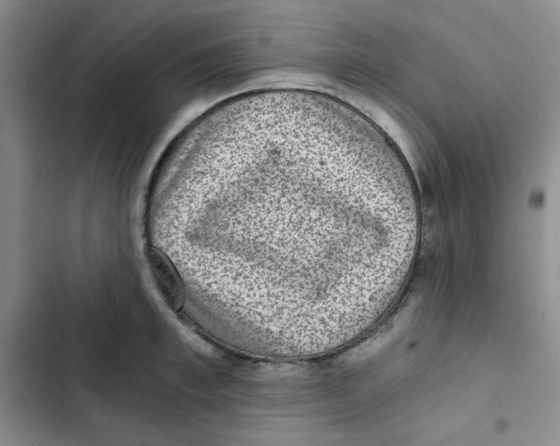 X0000102800997200809150924