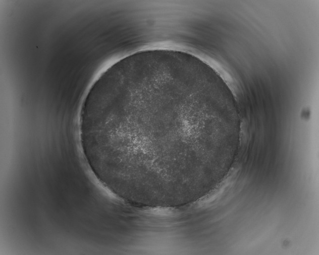 X0000102800998200809150924