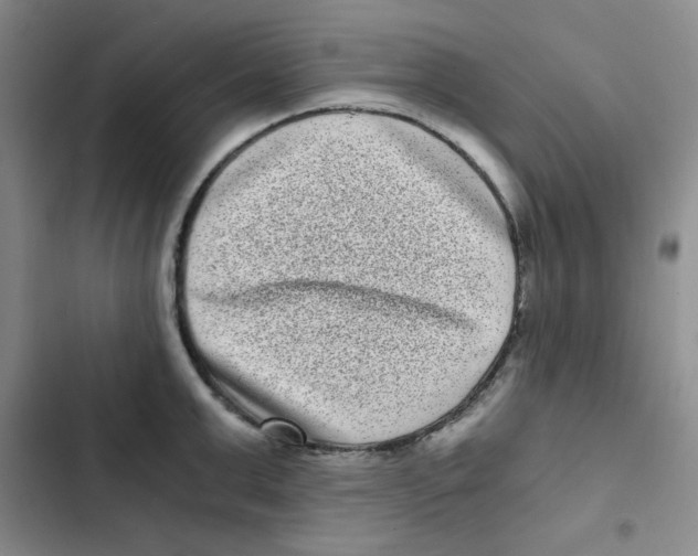 X0000102800999200809150924