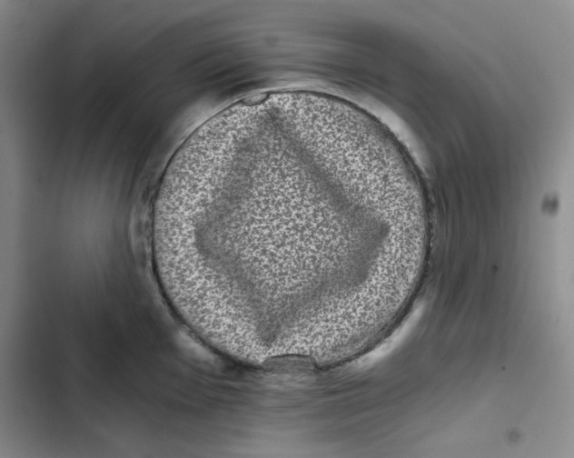 X0000102801001200809150924