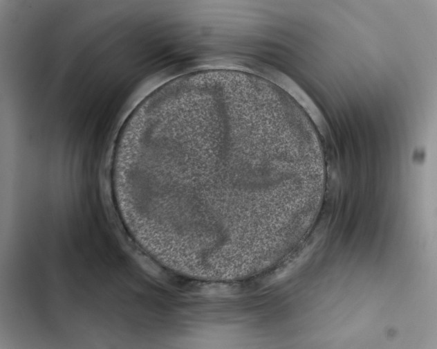 X0000102801002200809150924