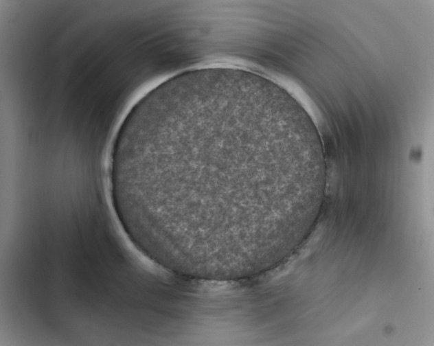 X0000102801003200809150924