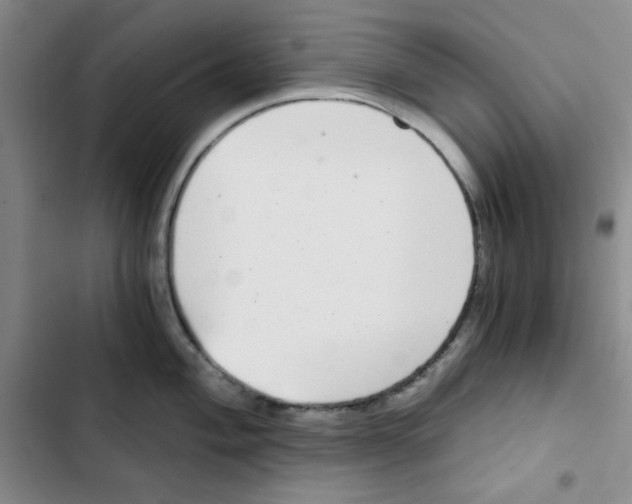 X0000102801004200809150924