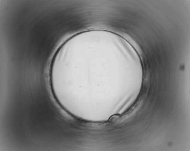 X0000102801005200809150924