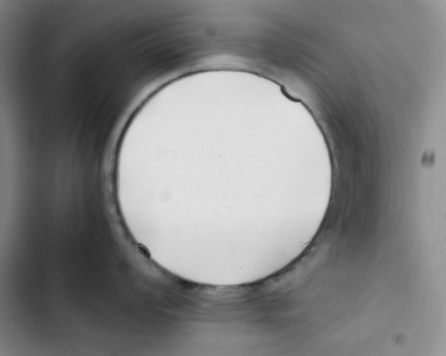 X0000102801008200809150924