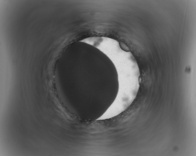 X0000102801009200809150923