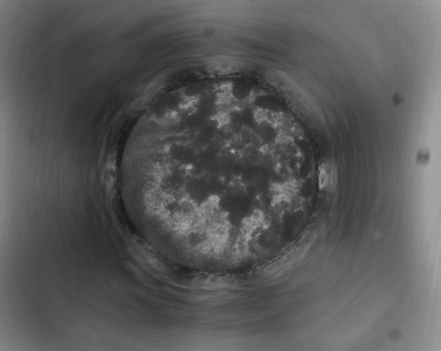 X0000102801011200809150923