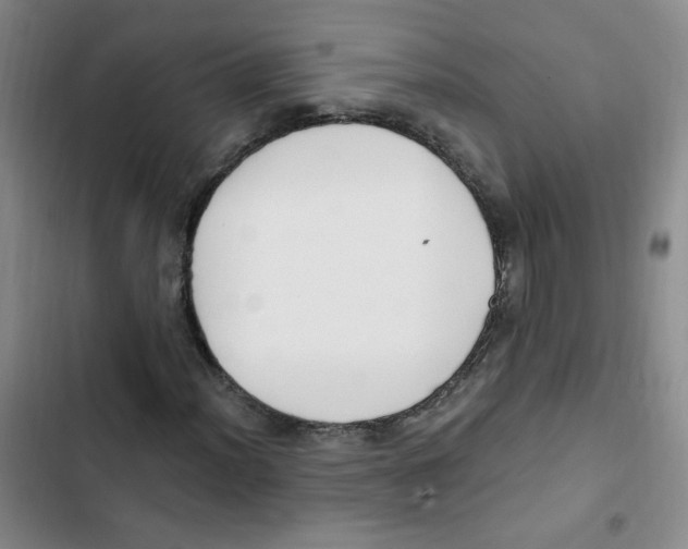 X0000102801012200809150923