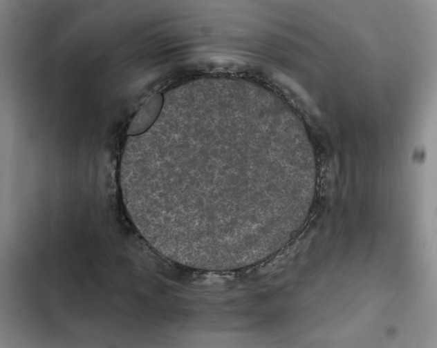 X0000102801013200809150924