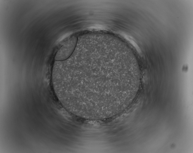 X0000102801015200809150924