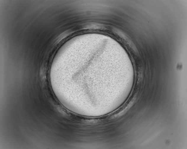 X0000102801017200809150924