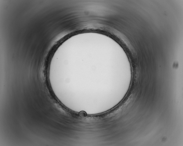 X0000102801018200809150924