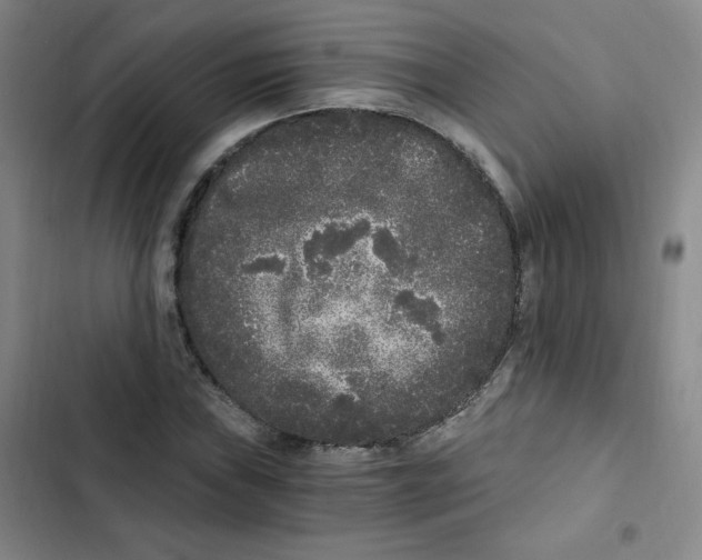 X0000102801019200809150924