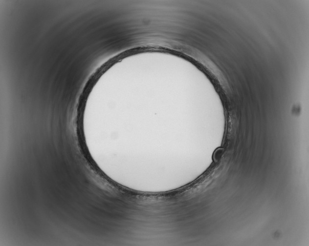 X0000102801020200809150924