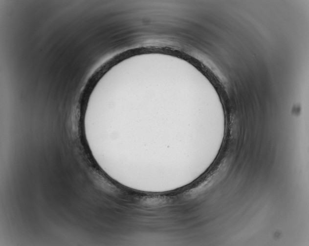 X0000102801021200809150924