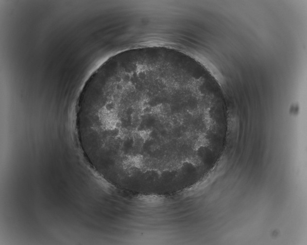 X0000102801023200809150924