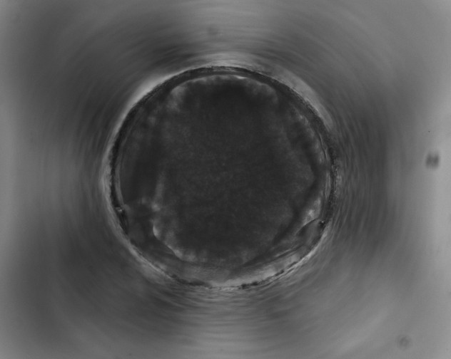 X0000102801024200809150924