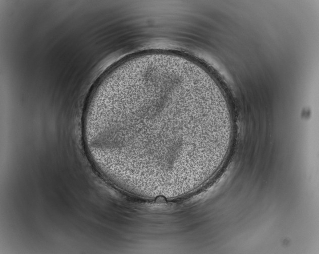 X0000102801025200809150924