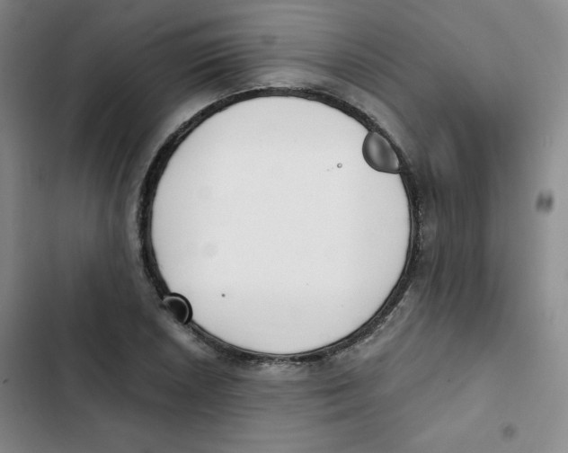 X0000102801026200809150924