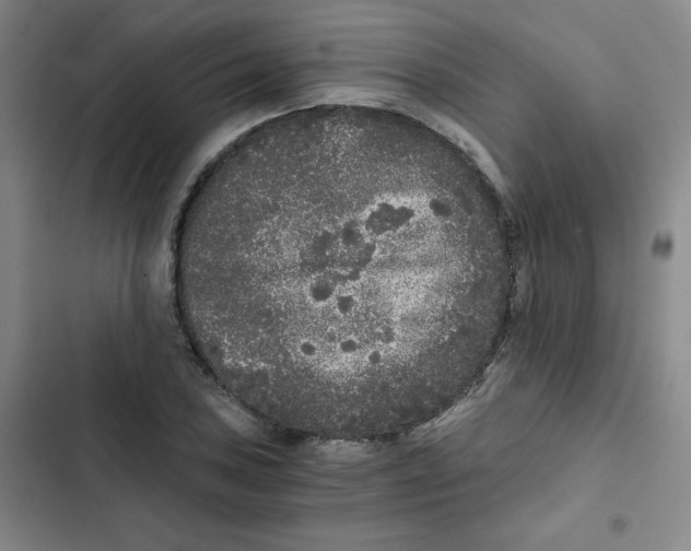 X0000102801027200809150924