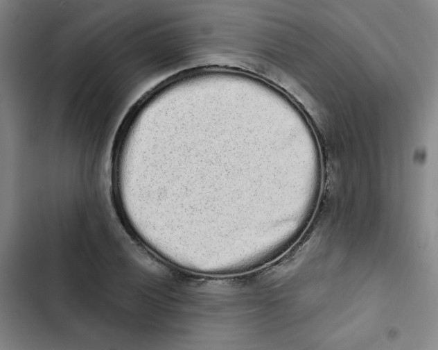 X0000102801028200809150924