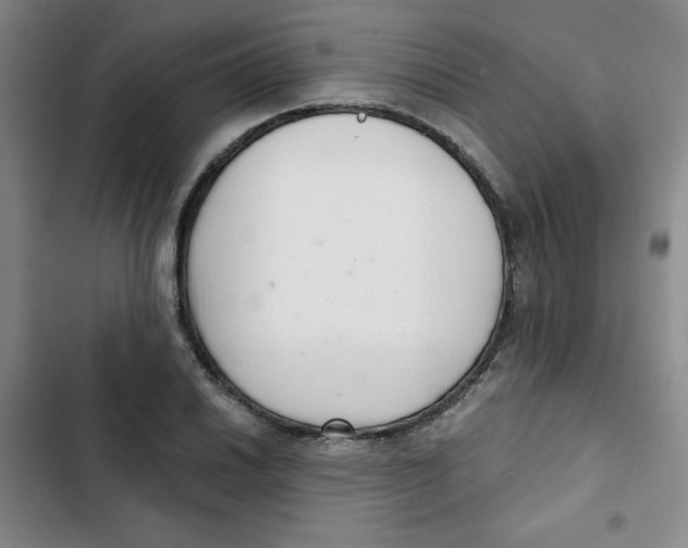 X0000102801030200809150924