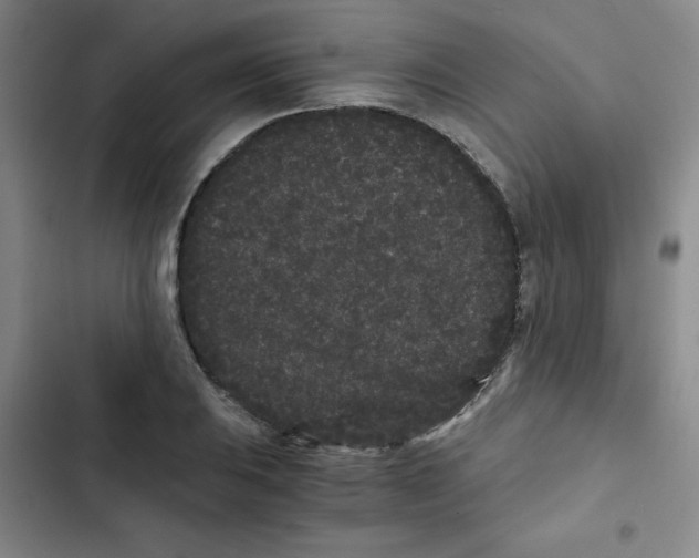 X0000102801031200809150924