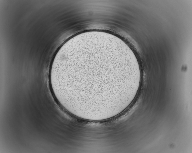 X0000102801033200809150924