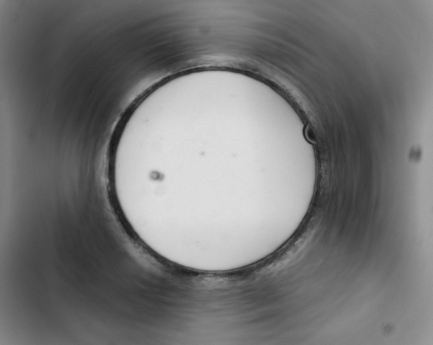 X0000102801034200809150924