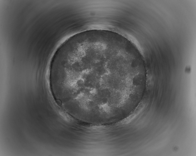 X0000102801035200809150924