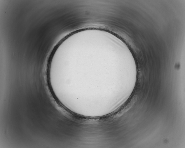 X0000102801038200809150924