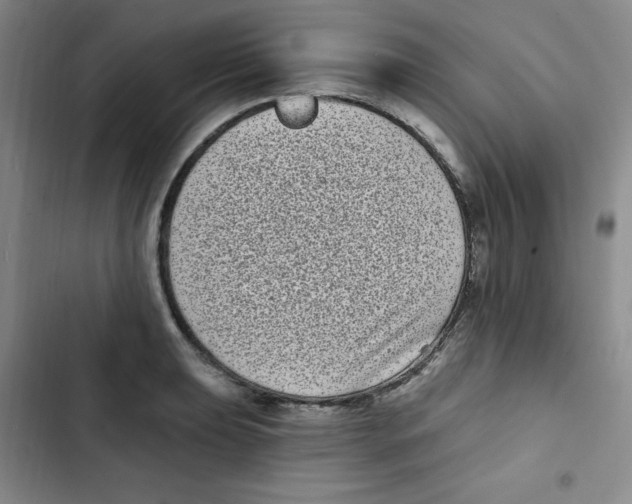 X0000102801039200809150924