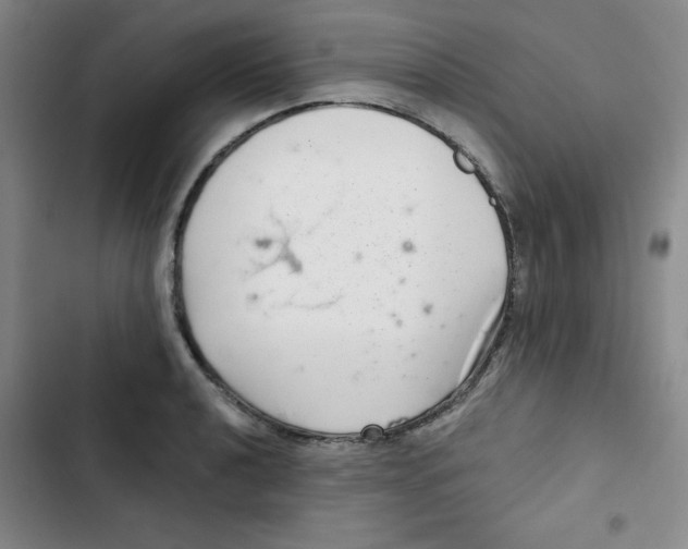 X0000102801040200809150924