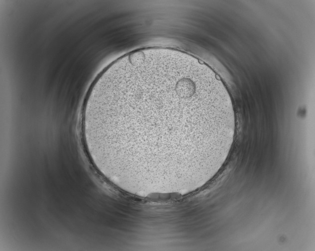 X0000102801044200809150924