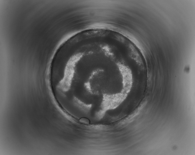 X0000102801045200809150924