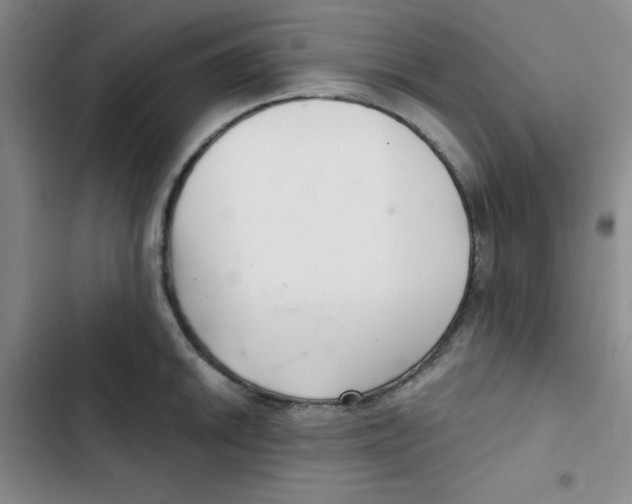 X0000102801046200809150924