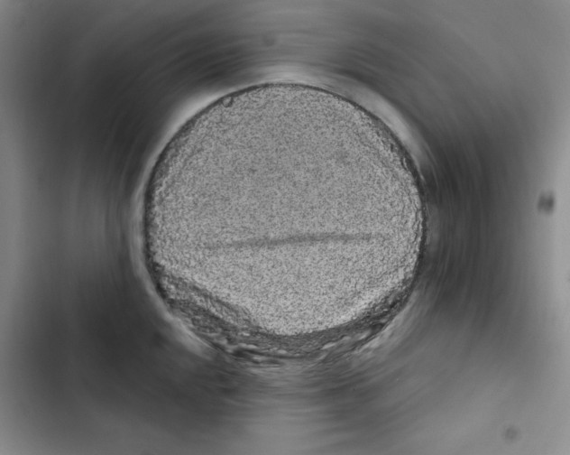 X0000102801048200809150924