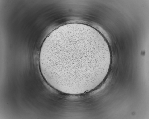 X0000102801049200809150924