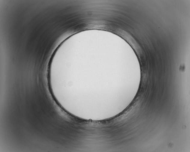 X0000102801050200809150924