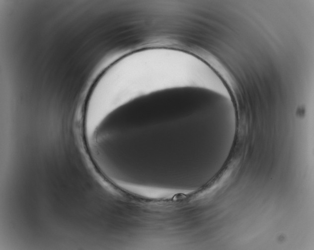 X0000102801053200809150924