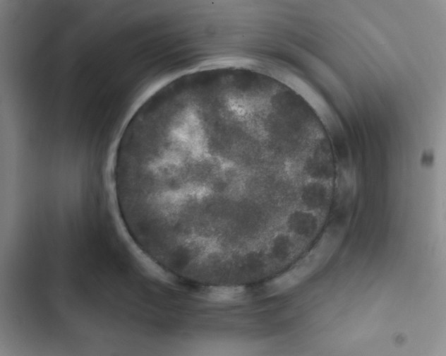 X0000102801055200809150924