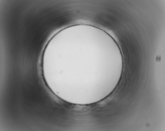 X0000102801056200809150924