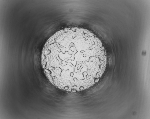 X0000102801059200809150923